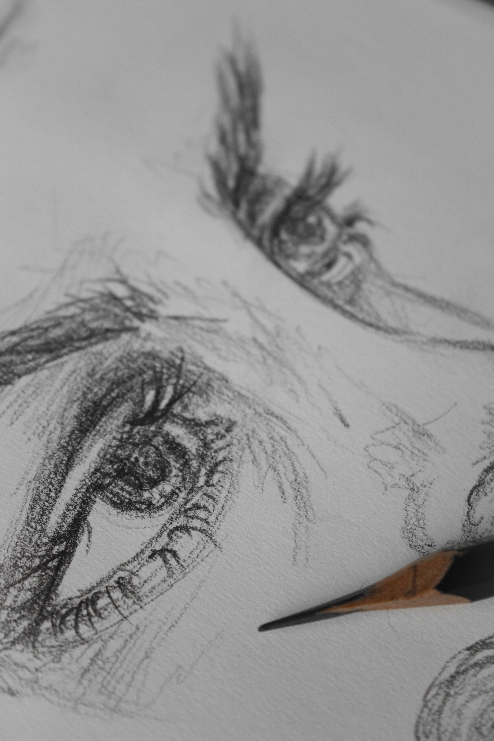 dibujo